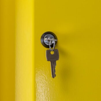 Armoire de sécurité en 14470 -1 - 90 minutes haute 1 porte jaune, Trionyx – Image 11