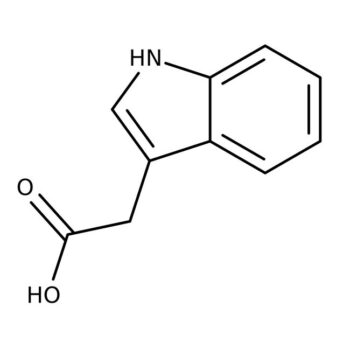 Acide indole-3-acétique, 98+ % - Thermofisher