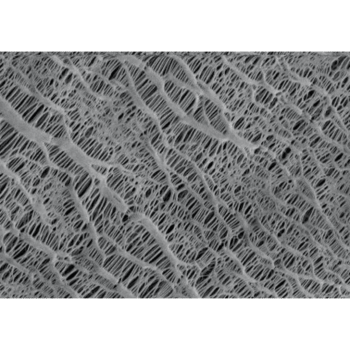 SF-PP - Filtres seringues en polypropylène - Filtratech